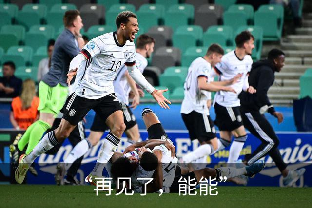 “再见了，能能”