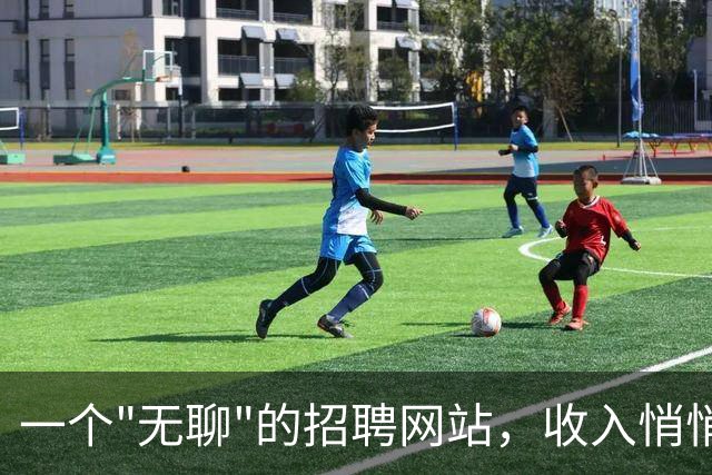一个"无聊"的招聘网站，收入悄悄过了4万美元