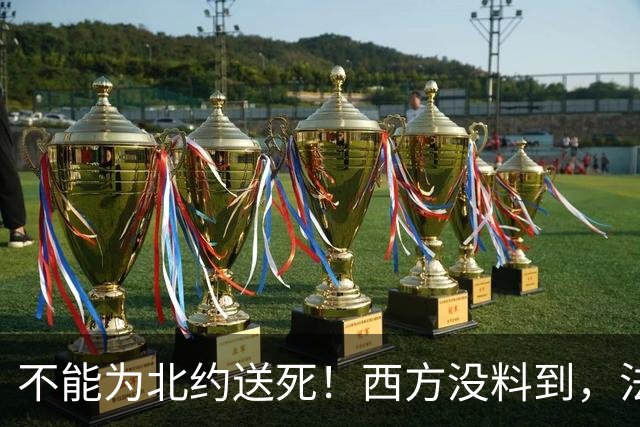 不能为北约送死！西方没料到，法国热门候选人，铁了心要亲华