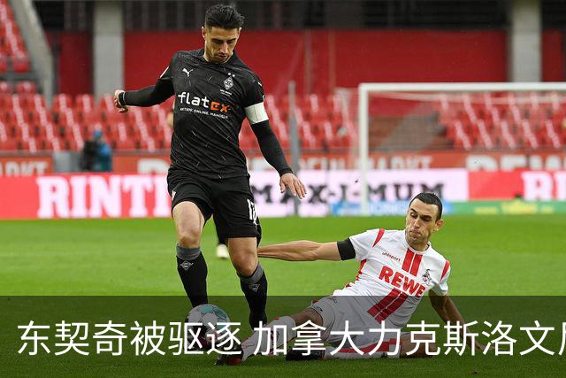 东契奇被驱逐 加拿大力克斯洛文尼亚晋级四强