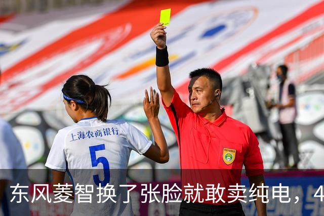 东风菱智换了张脸就敢卖纯电，460km续航够不够用得看一个细节