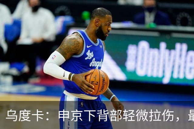 乌度卡：申京下背部轻微拉伤，最多缺席几场