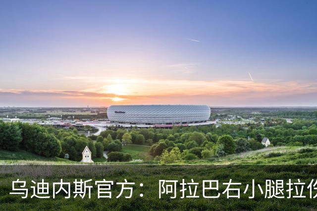 乌迪内斯官方：阿拉巴右小腿拉伤，已开始进行康复