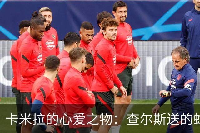卡米拉的心爱之物：查尔斯送的蛇形项链，戴了20多年和她绝配