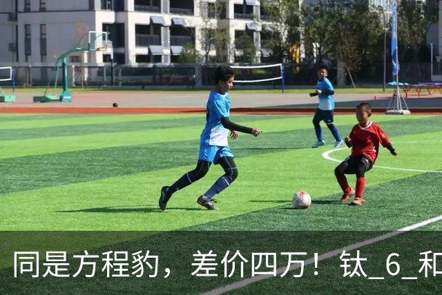 同是方程豹，差价四万！钛 6 和钛 7，到底贵在哪？