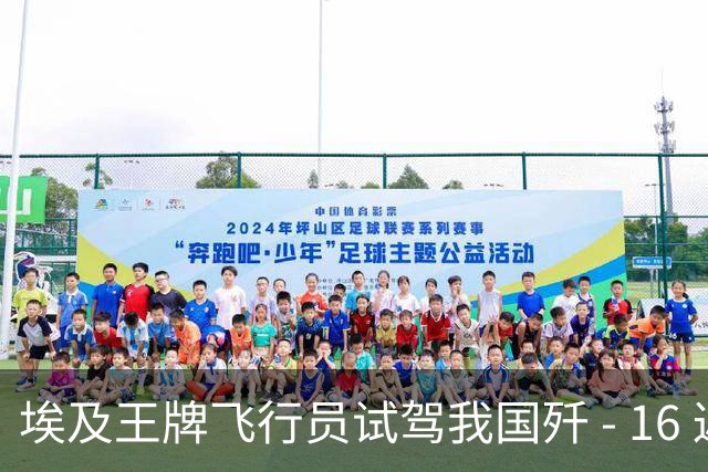 埃及王牌飞行员试驾我国歼 - 16 返航，再度坐上阵风座舱久久不语，说出的一席话让大家无言以对