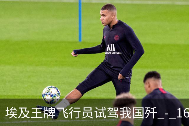 埃及王牌飞行员试驾我国歼 - 16 返航，再度坐上阵风座舱久久不语，说出的一席话让大家无言以对