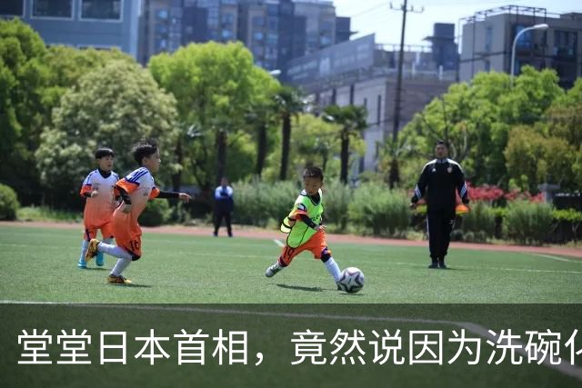 堂堂日本首相，竟然说因为洗碗化妆，没时间思考国家未来？