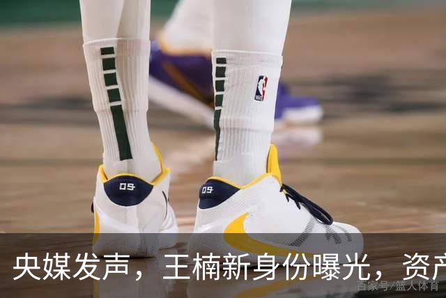 央媒发声，王楠新身份曝光，资产查封被带走调查传闻背后另有隐情
