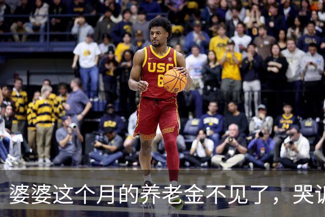 婆婆这个月的养老金不见了，哭诉说是我偷偷取走的