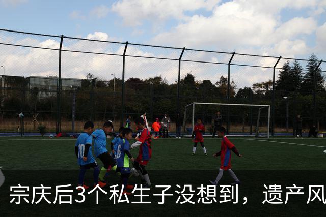 宗庆后3个私生子没想到，遗产风波还没完，娃哈哈竟出现一大变动