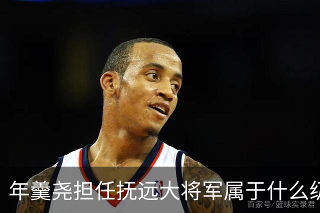 年羹尧担任抚远大将军属于什么级别？与大学士和军机大臣相比如何？