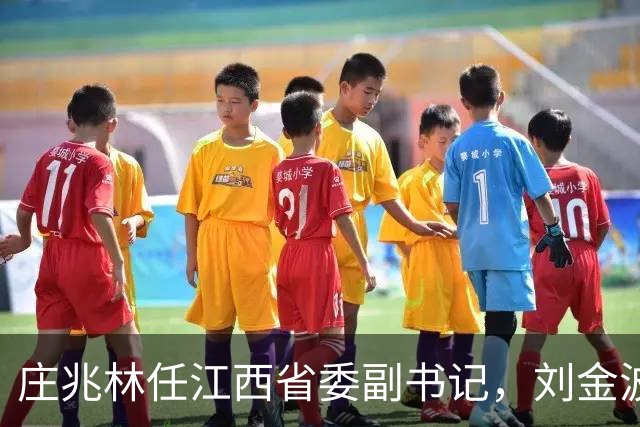 庄兆林任江西省委副书记，刘金波任江西省委委员、常委