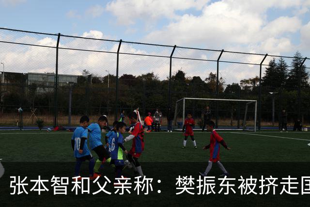 张本智和父亲称：樊振东被挤走国乒完了。旁观者清还是别有用心
