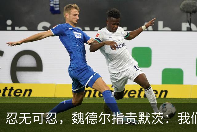 忍无可忍，魏德尔指责默茨：我们自己都没钱花了，你装什么大款？