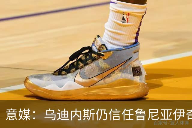 意媒：乌迪内斯仍信任鲁尼亚伊奇，接下来的两场比赛是关键