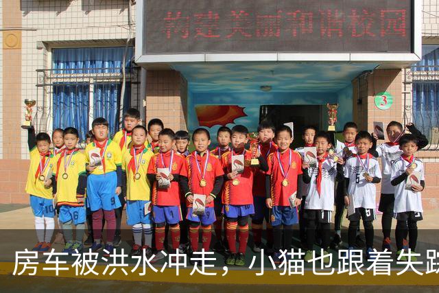 房车被洪水冲走，小猫也跟着失踪，8天后它突然回家了，全家人都哭了