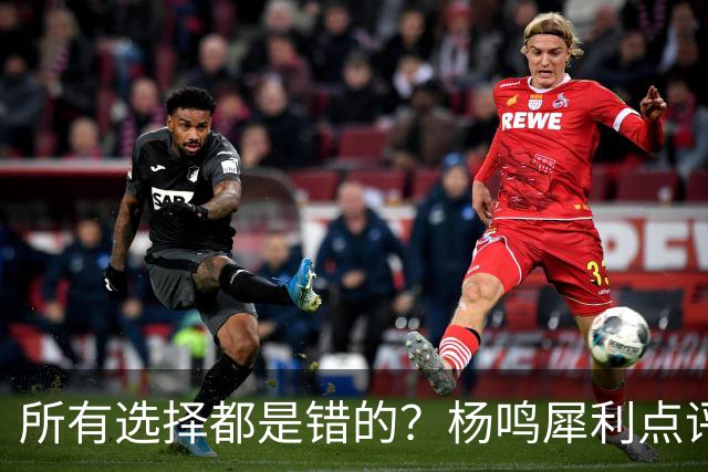 所有选择都是错的？杨鸣犀利点评崔永熙 他的话不一定全对