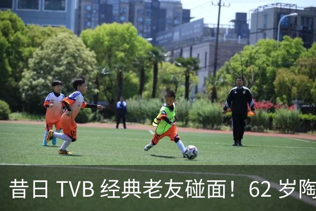 昔日 TVB 经典老友碰面！62 岁陶大宇、68 岁廖伟雄，一眼看尽港圈流年！