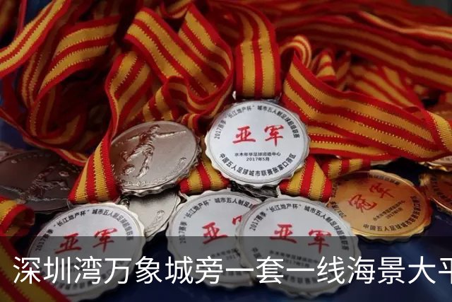 深圳湾万象城旁一套一线海景大平层拍卖，最终成交价拿到5827万
