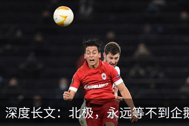 深度长文：北极，永远等不到企鹅！1949年人类最后一次在北极地区看见企鹅！