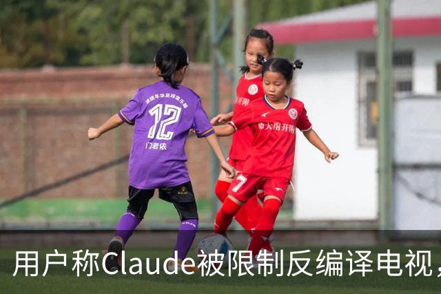 用户称Claude被限制反编译电视，游戏却放行