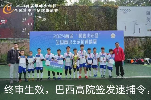 终审生效，巴西高院签发逮捕令，博索纳罗之子滞留美国，护照直接注销