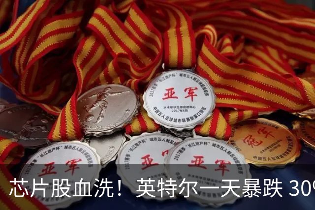 芯片股血洗！英特尔一天暴跌 30%，创记录！