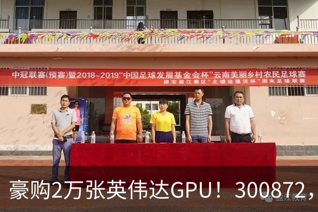 豪购2万张英伟达GPU！300872，股价大涨
