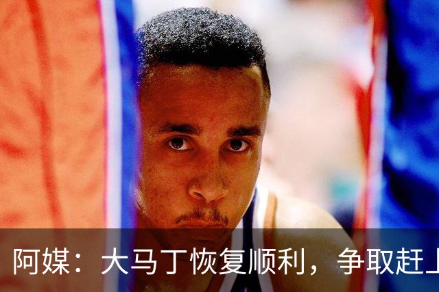 阿媒：大马丁恢复顺利，争取赶上11月阿根廷队比赛