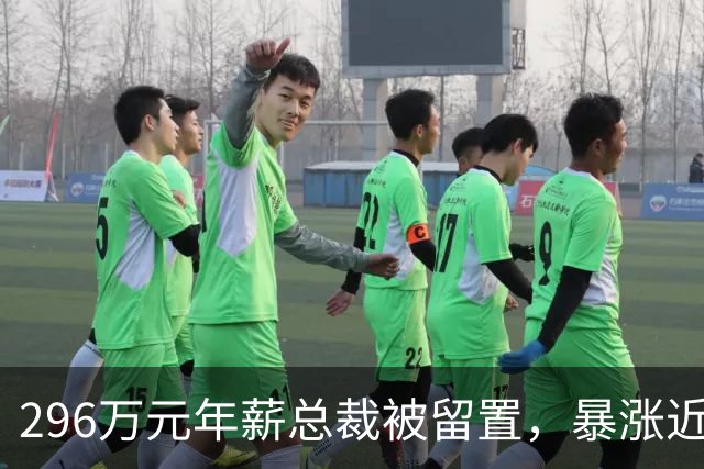 296万元年薪总裁被留置，暴涨近200％的哈药股份一字跌停：无实控人药企的监督之问