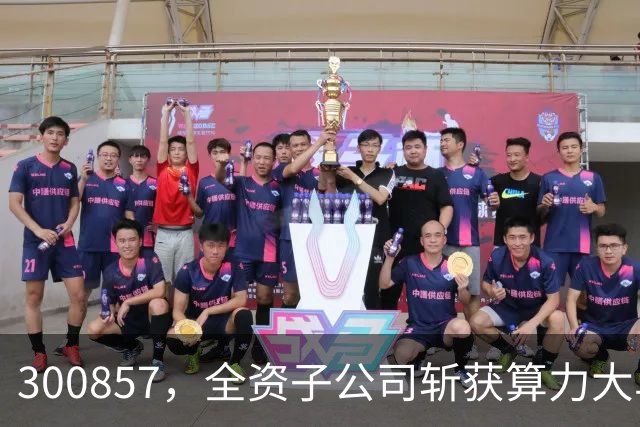 300857，全资子公司斩获算力大单